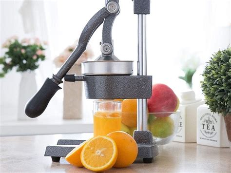 Best Commercial Juice Extractor Machines In Reviews