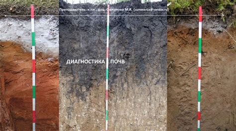 Диагностика почв - презентация онлайн