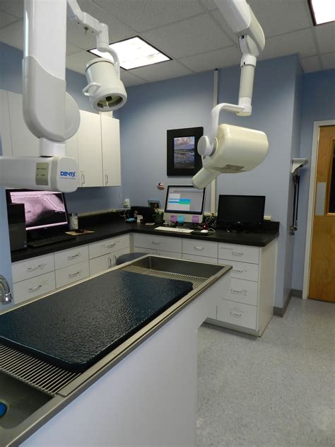 Blum animal hospital apex design build – Artofit