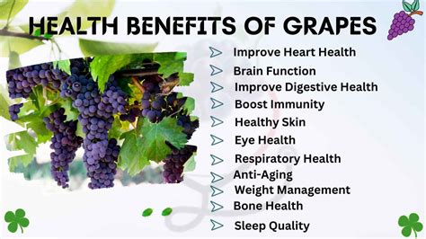 23 Evidence-Based Health Benefits of grapes - Grapedose-Explore the ...