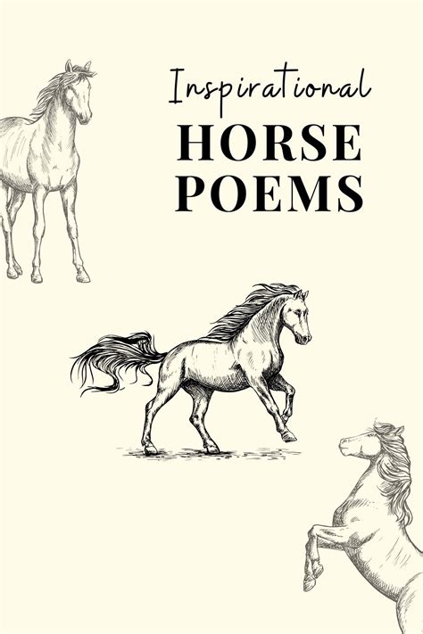 27 Inspirational Horse Poems Aestheticpoems