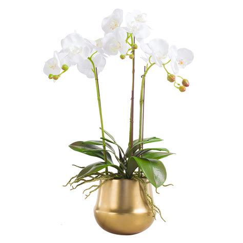 Buy Artificial Silk Moth Orchid Flowers Potting In Matte Gold Ceramic