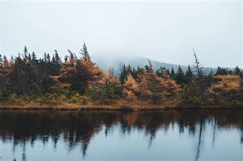 Jesus Solitude And Silence Soul Shepherding
