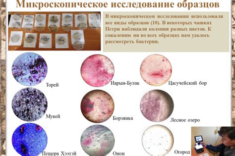 Охотники за микробами