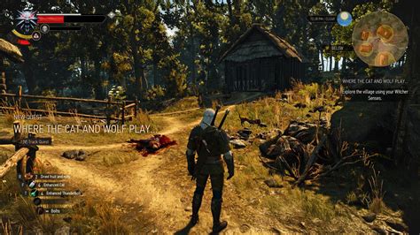 Where The Cat And Wolf Play Witcher 3 Wild Hunt Quest