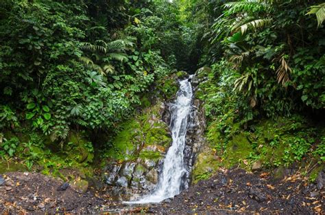 Waterfall In Colombia Stock Photo Image Of Forest Scenery 282204386