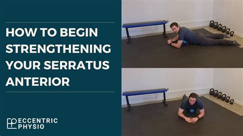 How To Begin Strengthening Your Serratus Anterior The Msk Physio