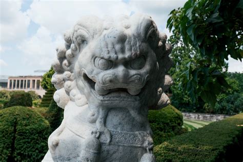 Обзор Canon EOS R100 | ПКМаг - EliteTech