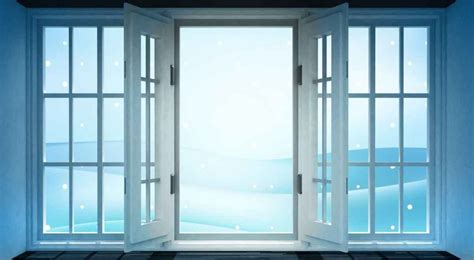 reasons     french door   home