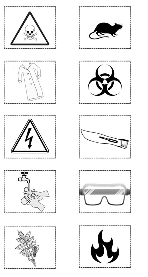 Science Lab Safety Symbols Worksheet / Working Safely In The Lab Working Scientifically Ks3 ...