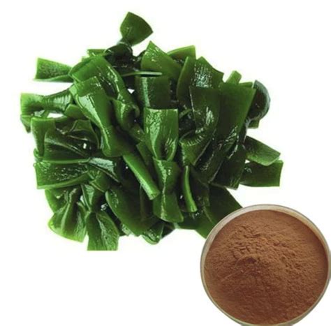 Чем полезна водоросль ламинария и содержащийся в ней фукоидан