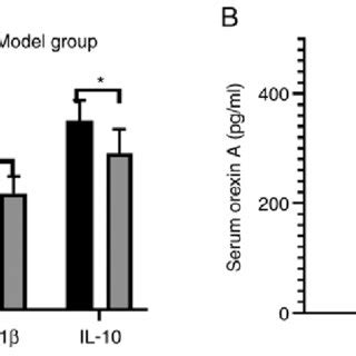 Serum TNF α IL 1β IL 6 IL 10 and orexin A levels in the model and