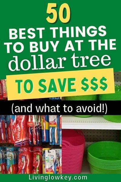 The Best Things To Buy At The Dollar Tree And What To Avoid Dollar