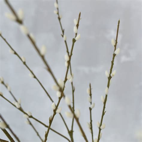 Artificial Pussy Willows Etsy