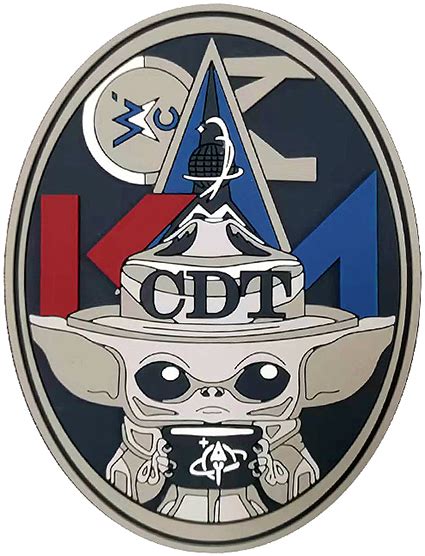 SPACE DELTA 8 (USSF) – CDT | Flightline Insignia