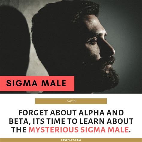 Sigma Male Facts Characteristics And Things They Do Loudfact