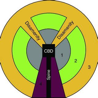 Latin American City Evolutionary Model according to Borsdorf, Bähr and... | Download Scientific ...