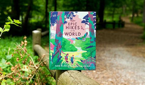 When to visit Ecuador for natural adventures and more - Lonely Planet