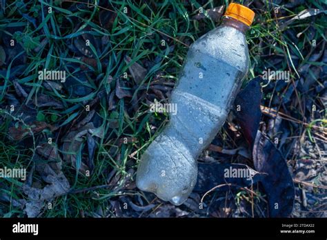 Frozen plastic bottle with orange cap. Soda pop drink. Thrown away on the grass surface. Cold ...