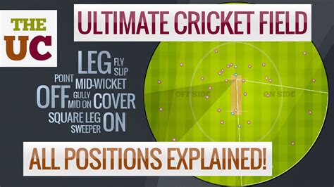 Cricket Field Dimensions Layout