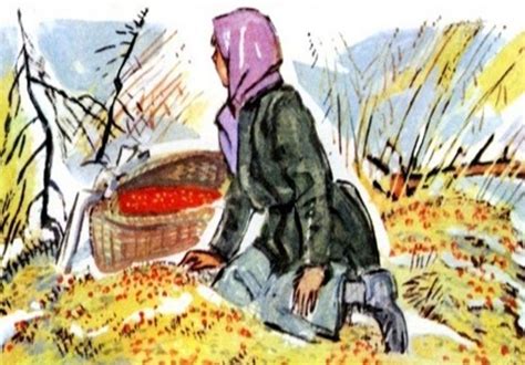 Изображения к произведению "Кладовая солнца"