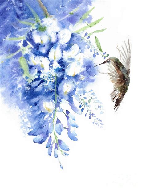 Wisteria And Hummingbird Watercolor Art Painting By Yulia Shevchenko