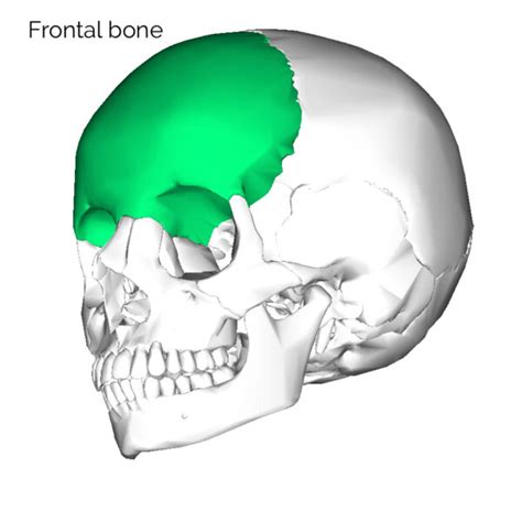 Skull & bones - дата выхода, новости и геймплей