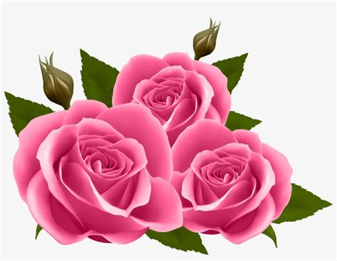 Rose Clipart Png Transparent