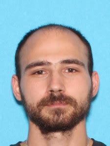 Michigan Sex Offenders Registry And Database At Offender Radar