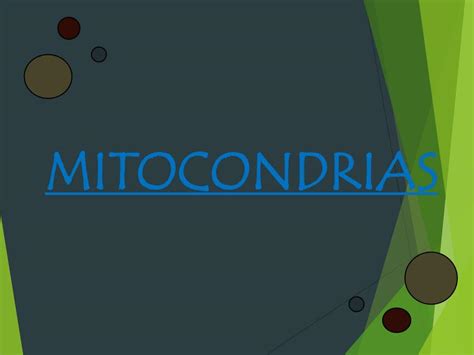 Mitocondrias Y Peroxisomas Benjamin Udocz