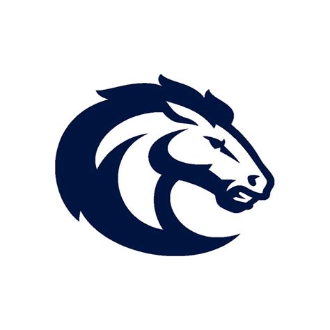 Christian Brothers Academy Nj Track And Field Xc Youtube