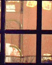 Favorite Gifs Sex Gifs Porn XXX GIFs 3836380 PICTOA