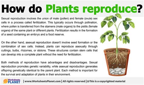 Why Do Plants Reproduce In Different Ways At Ben Courtney Blog