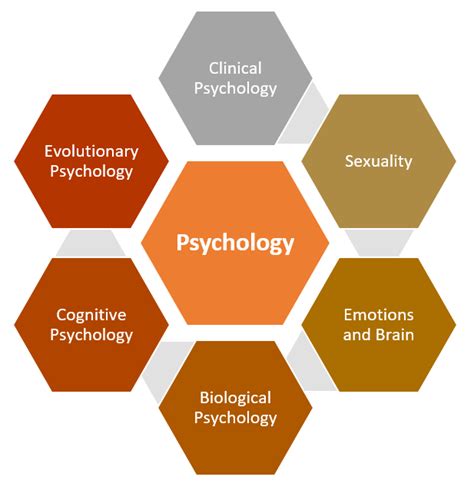 study psychology  tips  success edrawmind