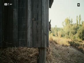 LEONOR ROLLA Nude AZNude