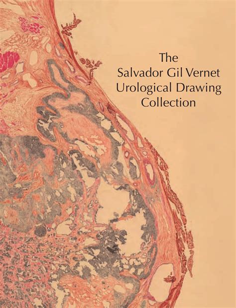 Pdf The Salvador Gil Vernet Urological Drawing Collection