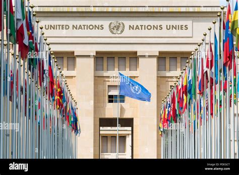 Drapeaux Des Membres De Lorganisation Des Nations Unies à Voler Dune