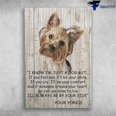I Know I'm Just A Dog But Your Yorkie - FridayStuff