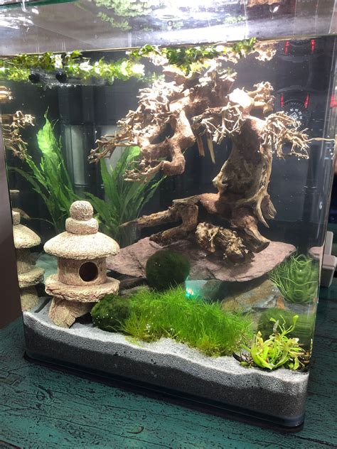 19+ Zen Fish Tank Decorations