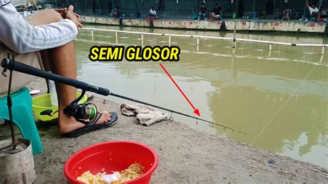 WOW TEKNIK MANCING IKAN MAS BABON SEMI GLOSOR MANCING YouTube