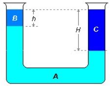 AIO A Figura Ilustra Um Liquido A De Massa Especifica No