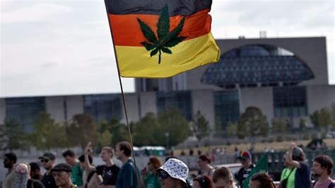 Cannabis Clubs Plan Dilutes German Drugs Reforms BBC News