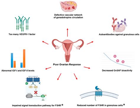 Pharmacogenomic Biomarkers of Follicle-Stimulating Hormone Receptor