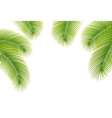 Palm Tree Leaf Vector at GetDrawings | Free download