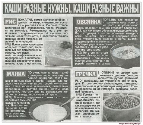 Каши разные нужны, каши разные важны | ПИТАНИЕ: для разбора | Постила