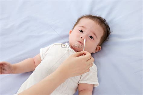 Baby Nose Images, HD Pictures For Free Vectors Download - Lovepik.com