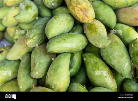 Green Mangoes Lying On A Market Counter Exotic Fruits Of Asia Stock