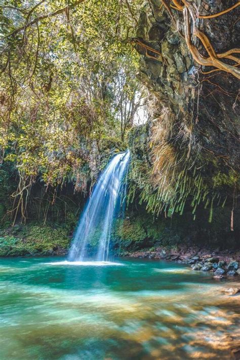 6 Easily Accessible Maui Waterfalls | Maui travel, Maui hawaii vacation ...