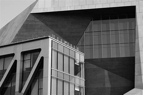 200,000+ Free Black White Penguin & Penguin Images - Pixabay