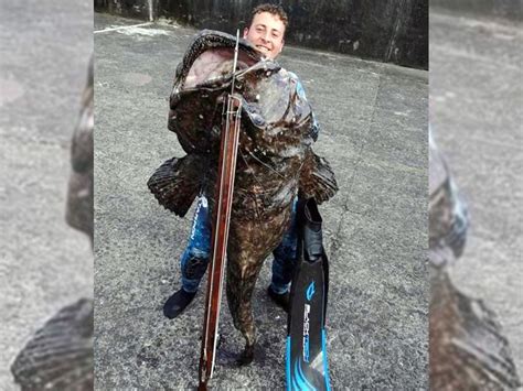 GRDOBINA ŽIVOTA – Na udici